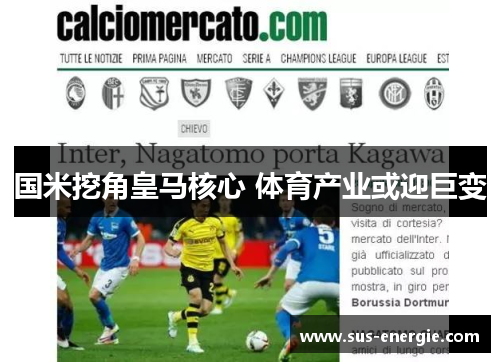 国米挖角皇马核心 体育产业或迎巨变