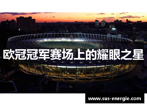 欧冠冠军赛场上的耀眼之星